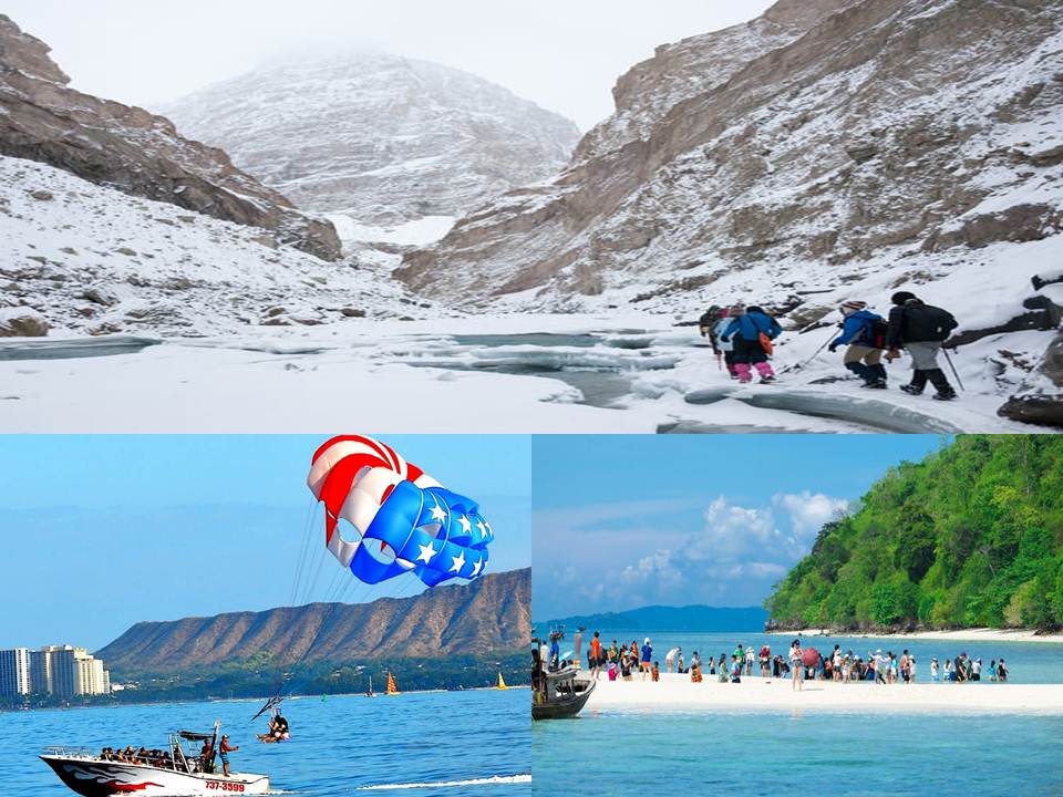 Royals Club International Reviews